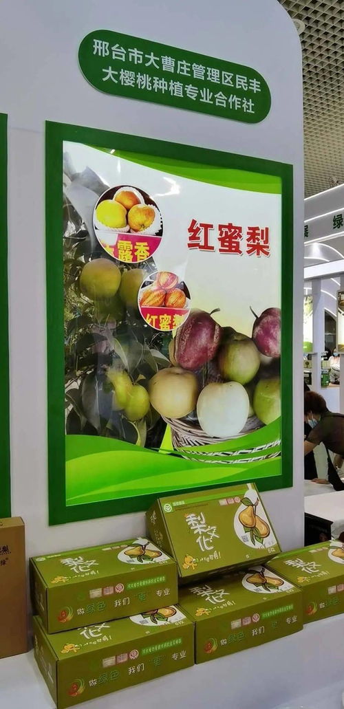 寧晉綠色農產品在廈門綠博會廣受歡迎，水產品零售表現搶眼