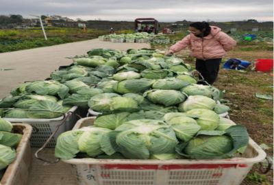 食用農產品零售市場新觀察 品質、渠道與消費趨勢的嬗變