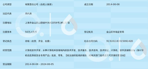 上海蓄量軟件 信息技術(shù)咨詢服務(wù)的新興力量